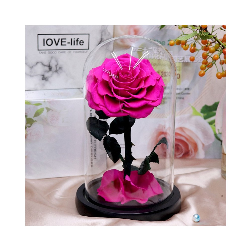 Zetlight ZA1201 Ai وائی فائی چھوٹا ریف ایکویریم ایل ای ڈی لائٹ