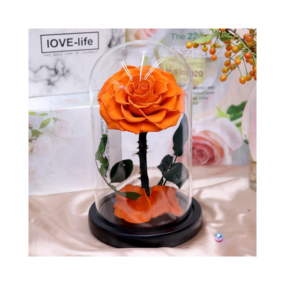 SunSun HJ 水族箱潜水泵