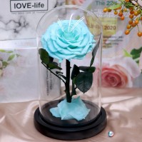 Preserved Rose Glass Dome Display, 22 Color Variants