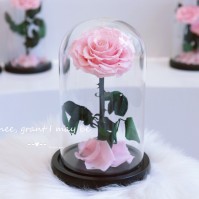 Preserved Rose Glass Dome Display, 22 Color Variants