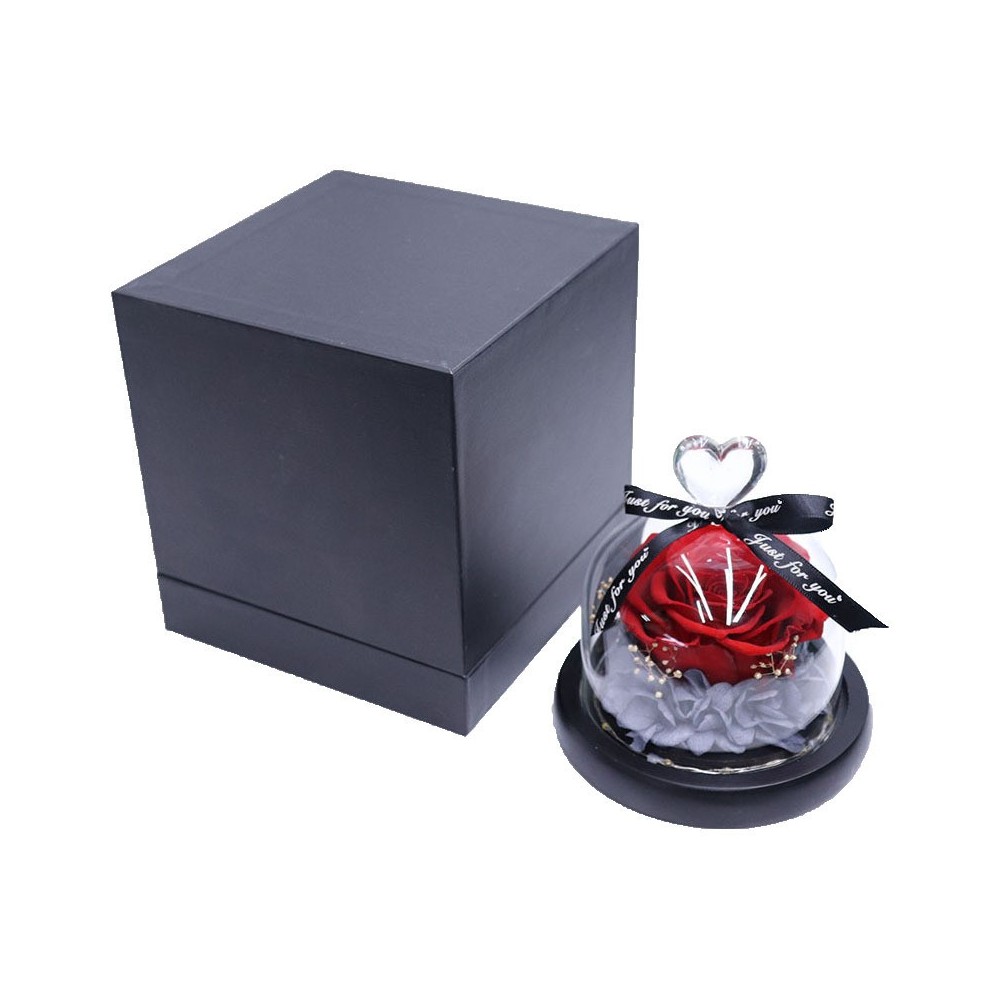 Aqua Excel ক্রমাগত ব্যবহারের পেরিস্টালটিক পাম্প AE-K01 / AE-K02