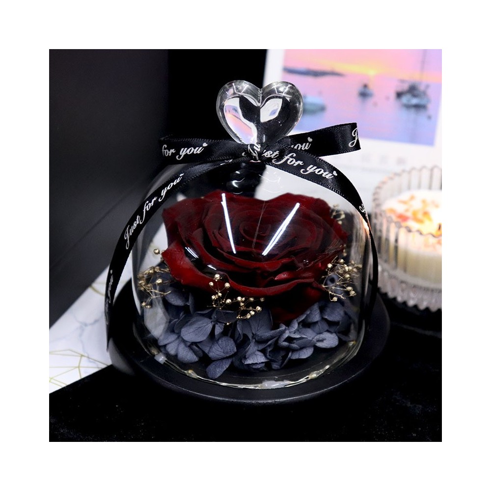 Aqua Excel ডিসি অ্যাকুরিয়াম ওয়াটার পাম্প কন্ট্রোলার / ওয়াইফাই সহ