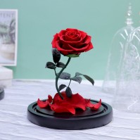 Preserved Rose Glass Dome Gift Display, 4 Colors plus Gift Box Only