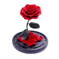Preserved Rose Glass Dome Gift Display, 4 Colors plus Gift Box Only