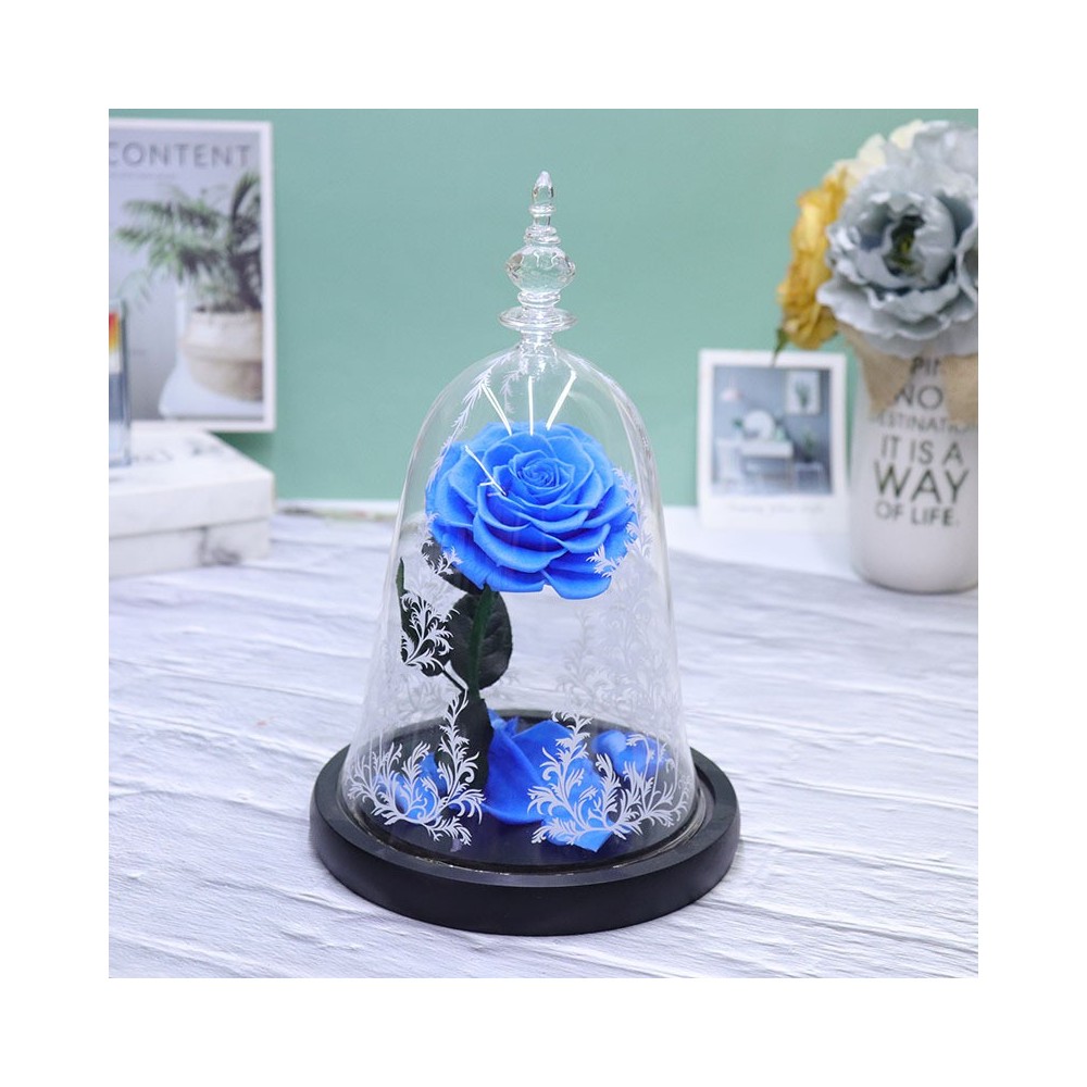 Aqua Excel مفاعل الطحالب ممتص نترات NO3