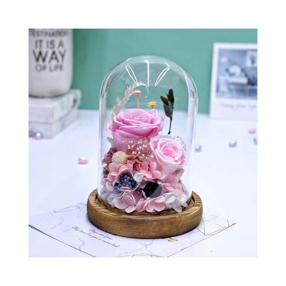 Aqua Excel Skimmer de Proteínas Colgante AE-HP1 / AE-HP2 / AE-HPL