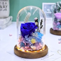 LED Glass Dome Preserved Rose Gift (4 Colors)
