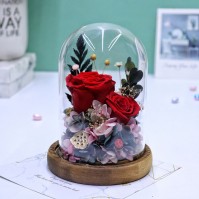 Aqua Excel Cincin Pemberian Makan Akrilik F50 / F70 / F50N / F70N