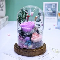 LED Glass Dome Preserved Rose Gift (4 Colors)