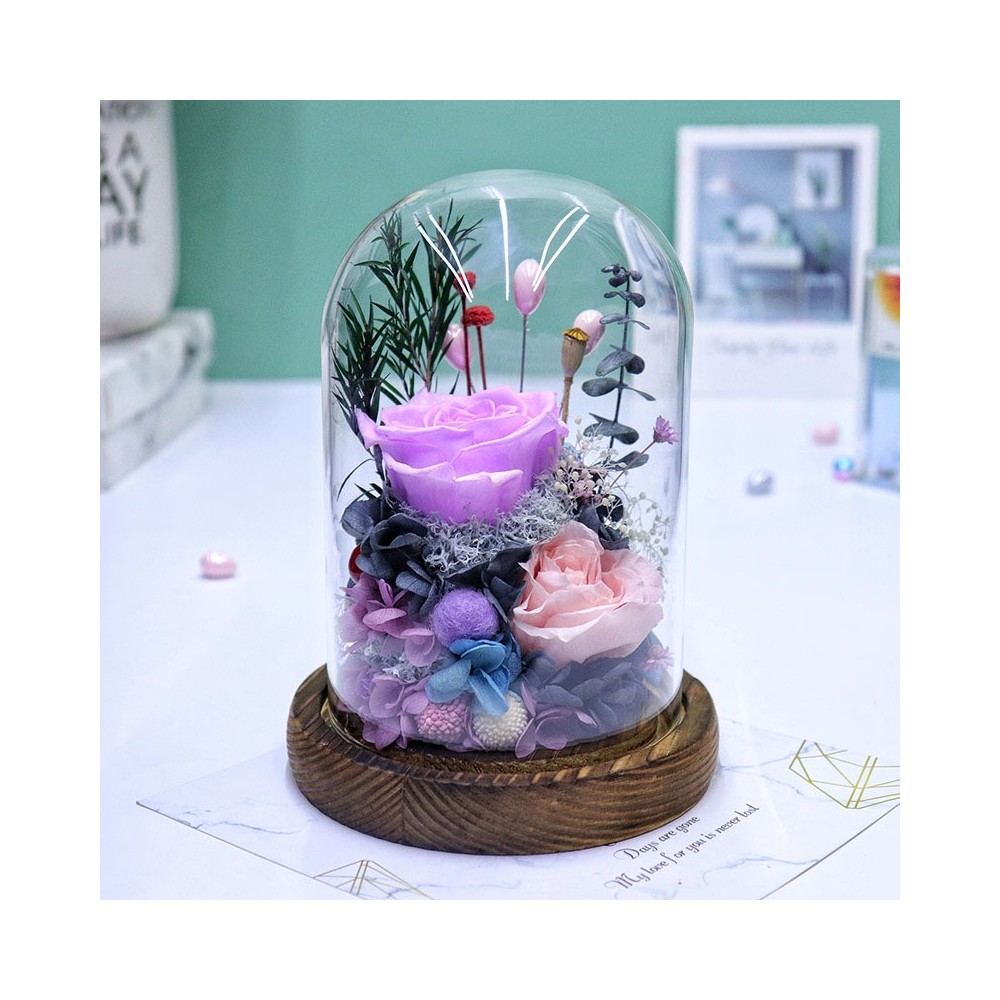 Aqua Excel Reactor Zeo AE-Z1 / AE-Z2