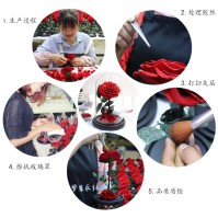 Aqua Excel 媒体吸收器迷你反应器 AE-FR/L03 AE-FR/L04 AE-FR/L05