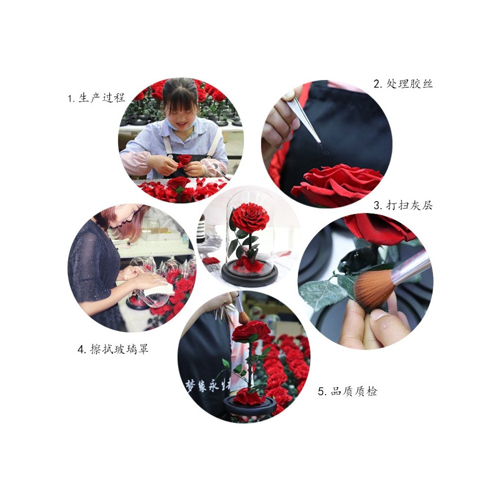 Aqua Excel 媒体吸收器迷你反应器 AE-FR/L03 AE-FR/L04 AE-FR/L05