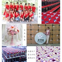 LED Glass Dome Preserved Rose Gift (4 Colors)