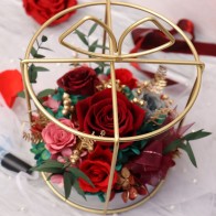 ایکوا نیسٹ ایکوا میکس ریف ایکویریم ایل ای ڈی لائٹ M30، M60، M90، M120