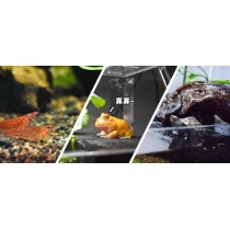 Cunzo Mini Paludarium met Verlichting en Verwarming