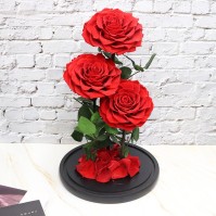 Cunzo Mini Paludarium với Đèn và Bộ Sưởi