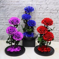 Cunzo Mini Paludarium dengan Lampu dan Pemanas