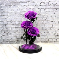 3-Rose Preserved Flower Glass Dome Display