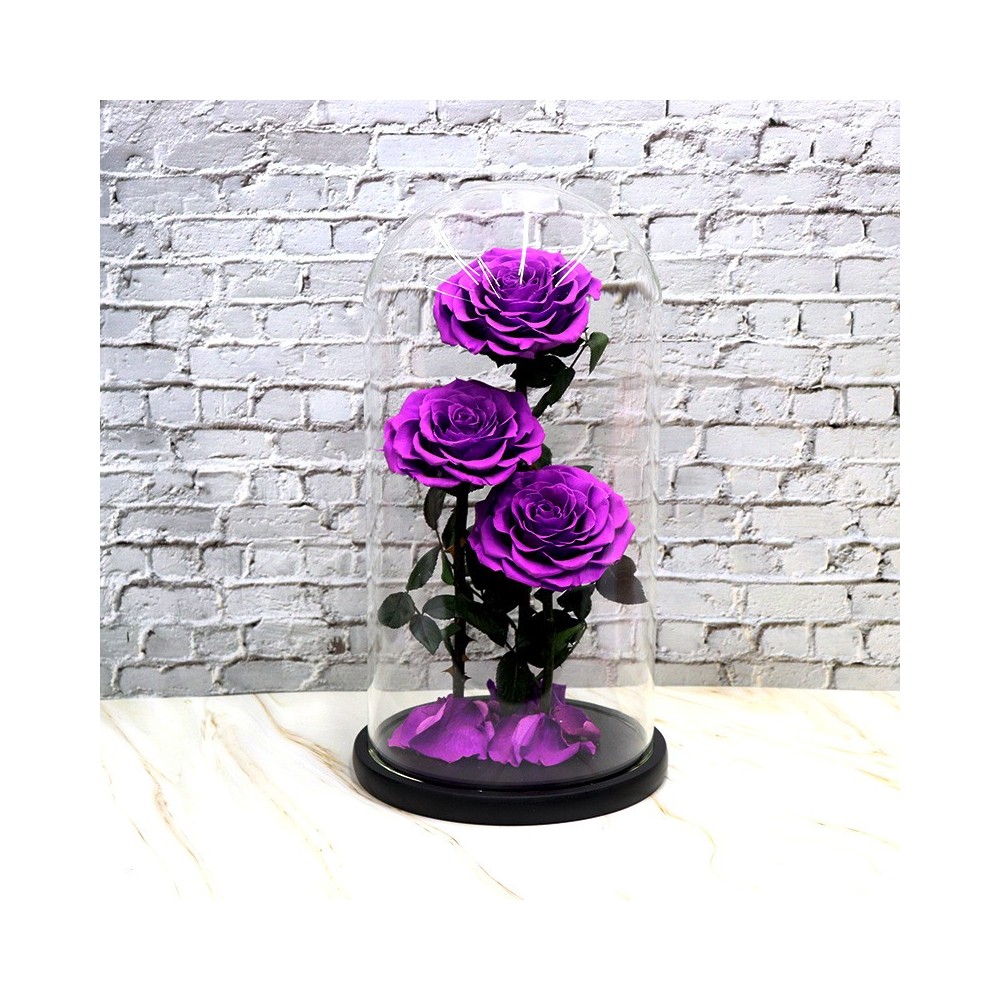 VastOcean アクリルピペット（水槽用）