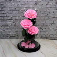 VastOcean Hộp Treo Đa Năng Bằng Acrylic cho Bể Cá