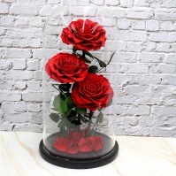 VastOcean Hộp Treo Đa Năng Bằng Acrylic cho Bể Cá