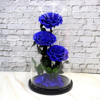 3-Rose Preserved Flower Glass Dome Display