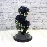 3-Rose Preserved Flower Glass Dome Display