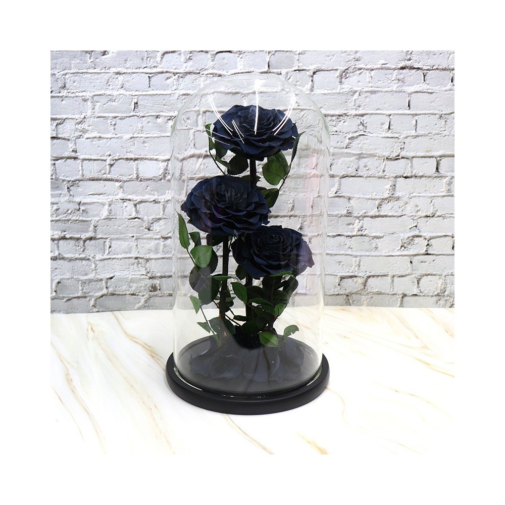 VastOcean Hộp Treo Đa Năng Bằng Acrylic cho Bể Cá