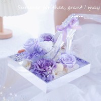 Kamoer ATO One SE 水族箱专用