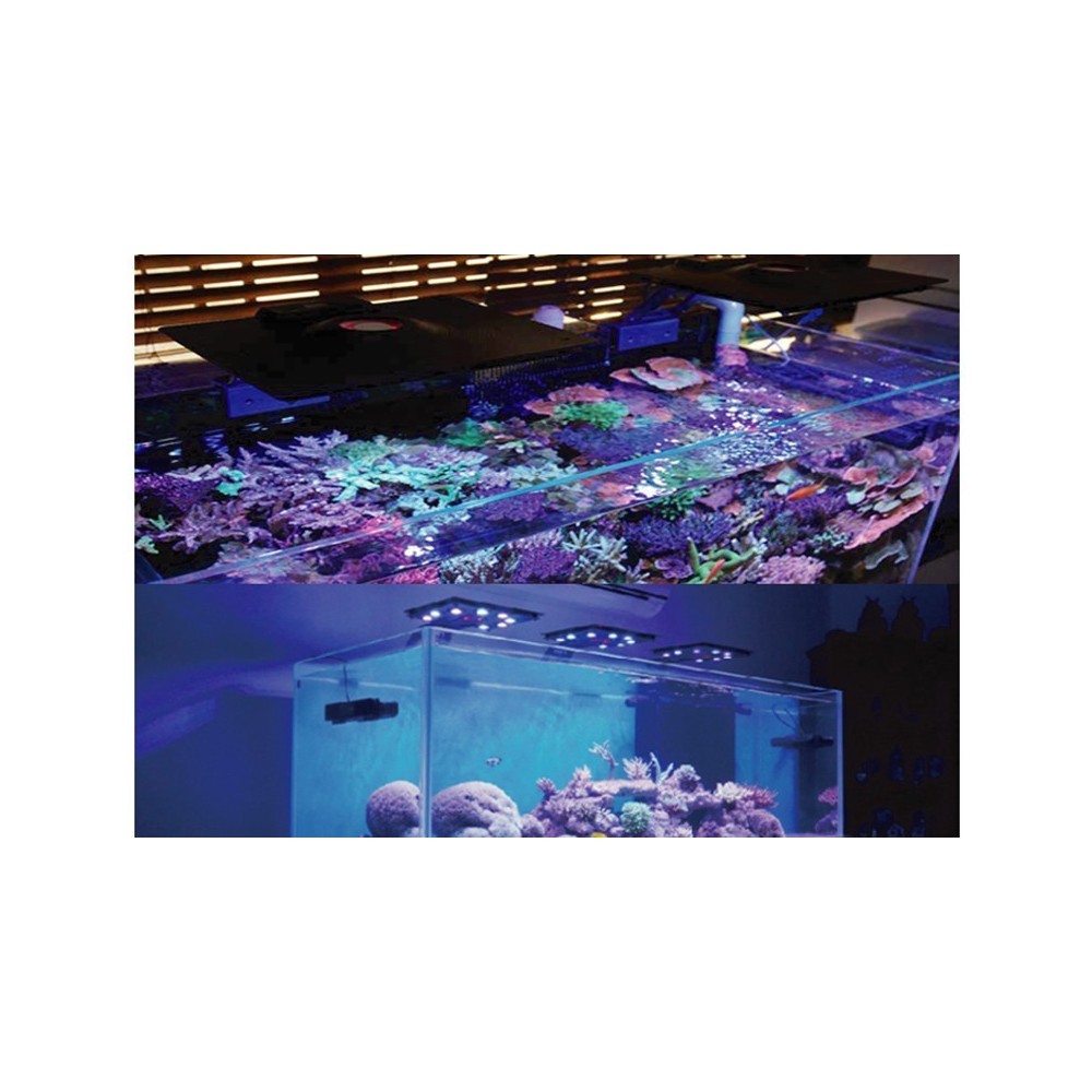 Simalai Pam Dos Kepala Tunggal C-01w Boleh Kawal WiFi