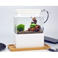 Cunzo Mini Aquarium Acrylglas voor zout- en zoetwater